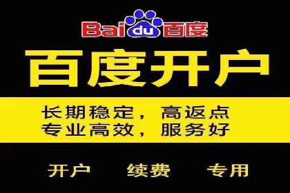 解析某某SEM服务公司如何通过数据分析优化广告效果